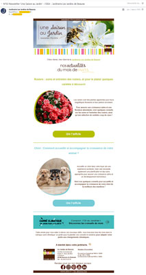 exemple newsletter acymailing