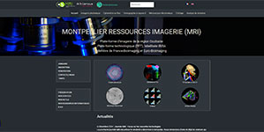 CNRS