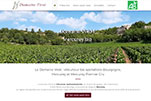 site viticulteur bourgogne